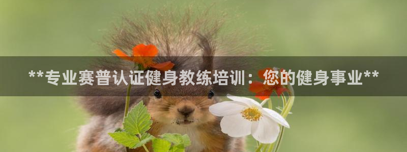 龙8国际官网注册