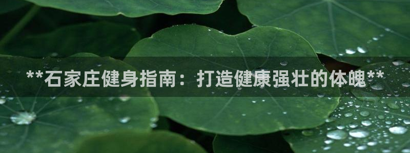 龙8国际官网下载地址