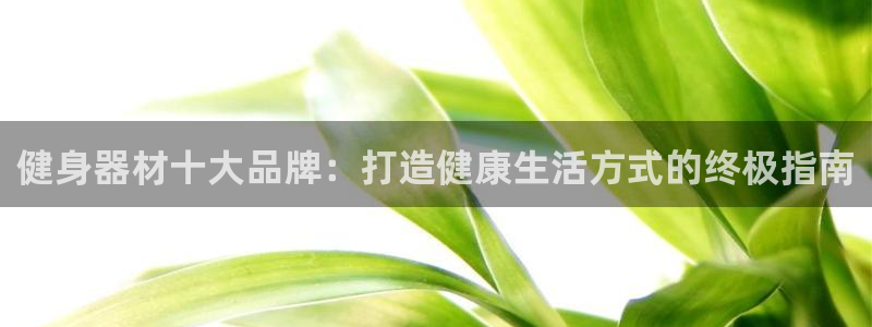 龙8国际app官网下载