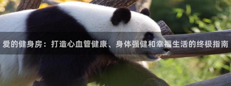 龙8国际为啥改名叫头号玩家了呢