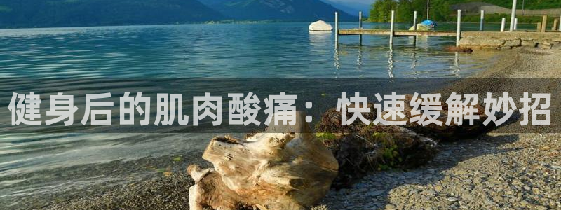 龙8国际手机版官网下载