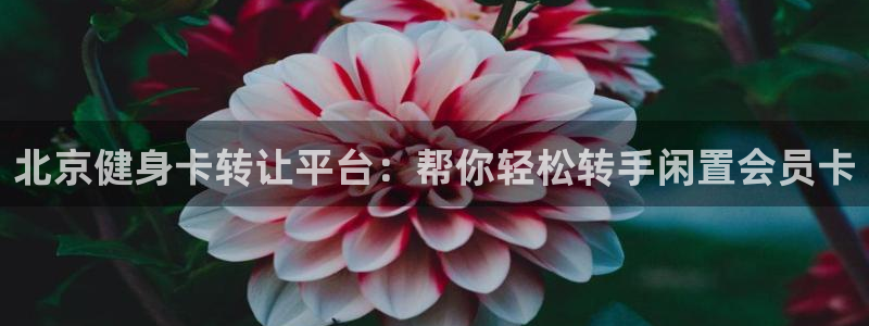 龙8国际游戏唯一官方进入
