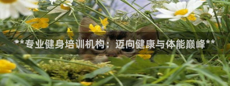 龙8国际2020官方网站