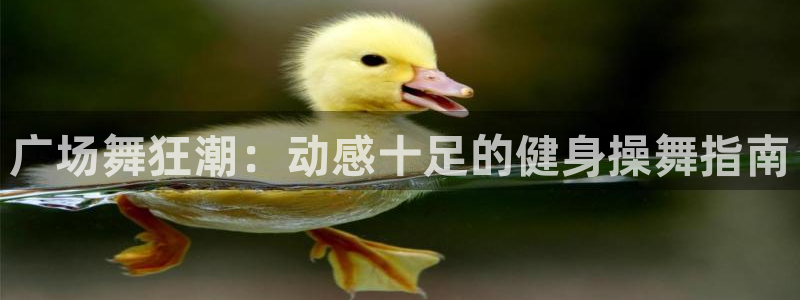 龙八国际娱乐网页多少