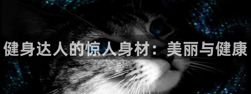 龙八国际娱乐网页多少