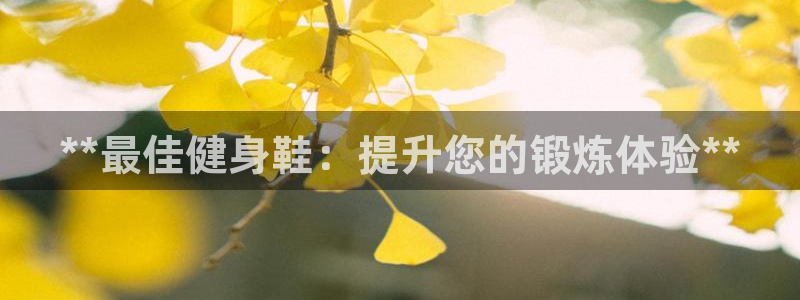 龙八国际登录密码