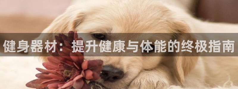 龙8国际手机游戏官网