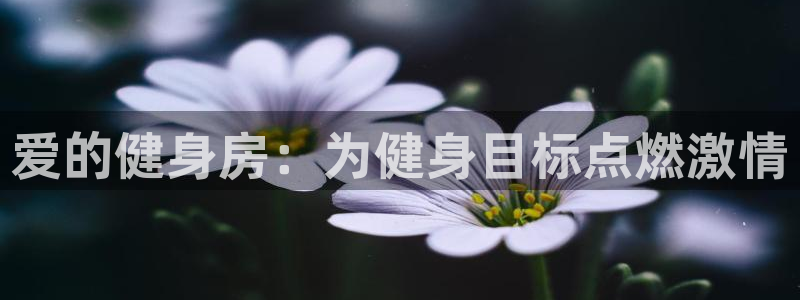 龙8国际游戏官方网站