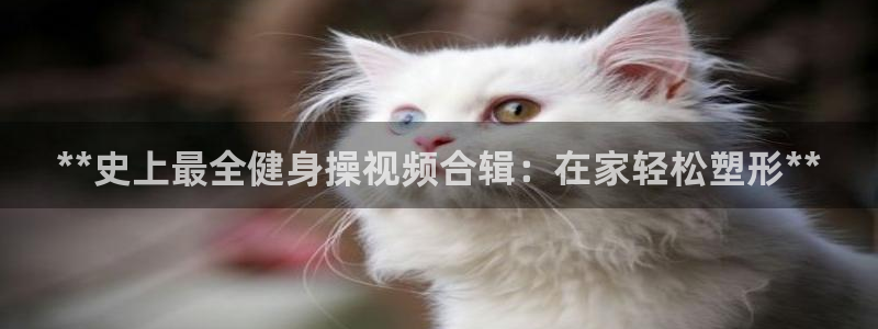 龙8国际登陆