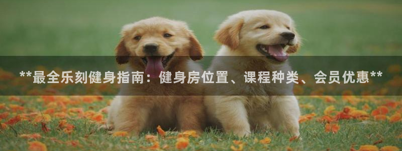 龙8国际是什么平台