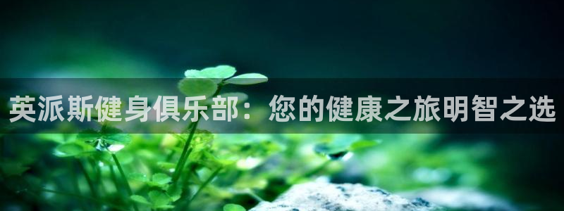 国际龙8官网pt客户端下载