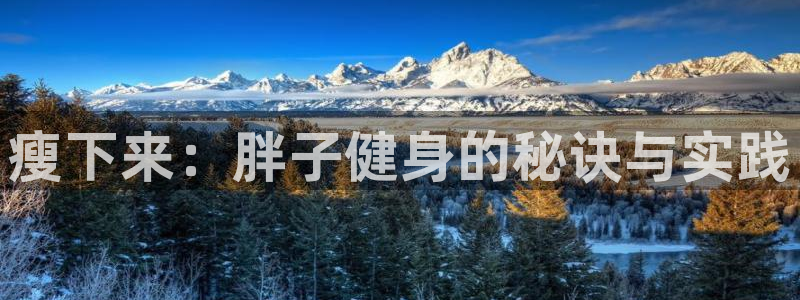 龙8国际老虎机官方