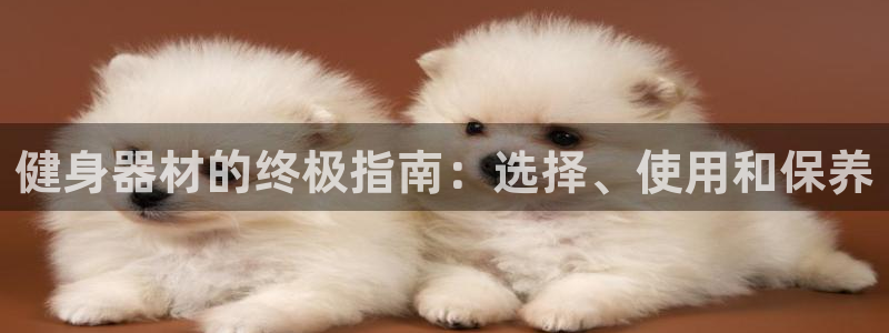 龙8国际游戏娱乐