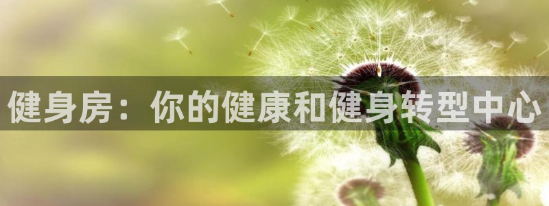 龙8游戏平台的网站