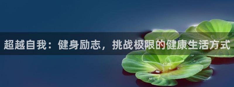 龙8国际2020官方网站