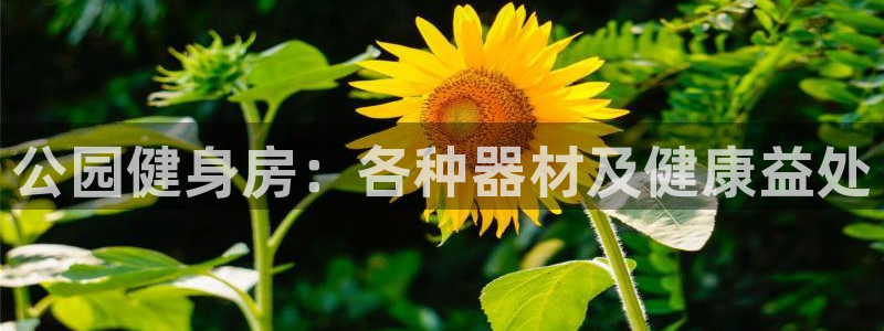 龙8国际被侦破了吗