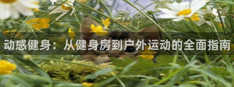 龙8国际网页登陆