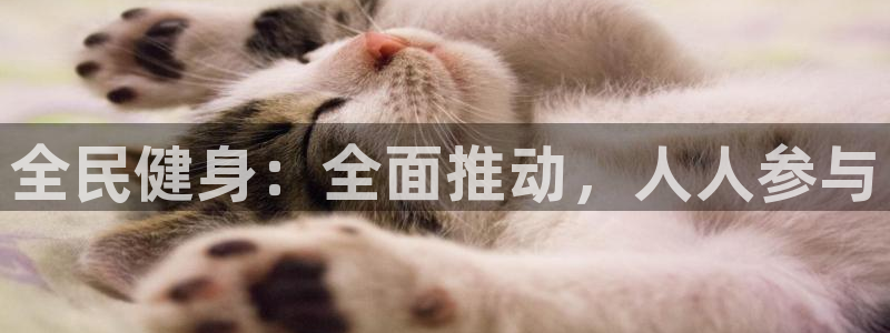 龙8国际app下载手机版