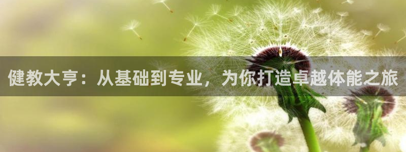 龙8头号玩家游戏官方进入