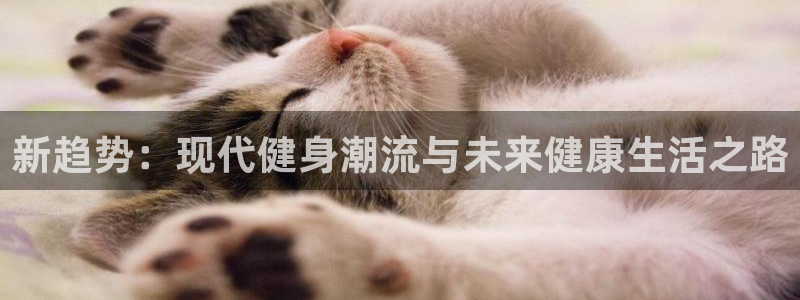 龙八国际2018最新官网