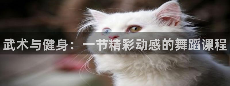 龙8国际老虎机娱乐