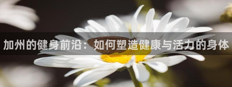 龙8国际2021年4.15更新版baoli