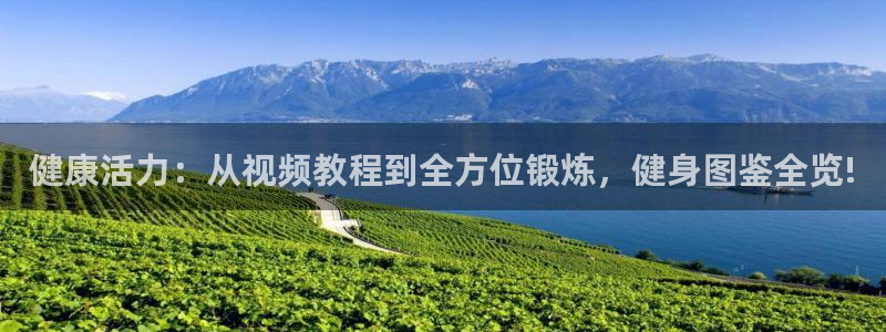 龙8国际唯一官网手游登录入口