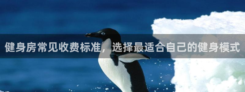 龙8国际手机游戏官网