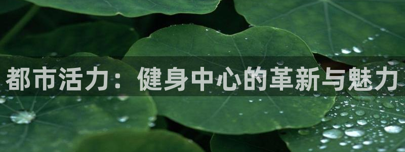 国际龙8官网pt客户端下载