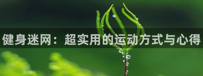 龙8国际app下载安装