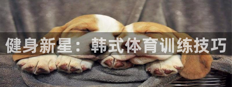 龙8国际网址多少