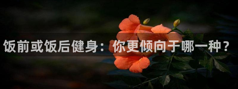 龙8国际官网手机客户端