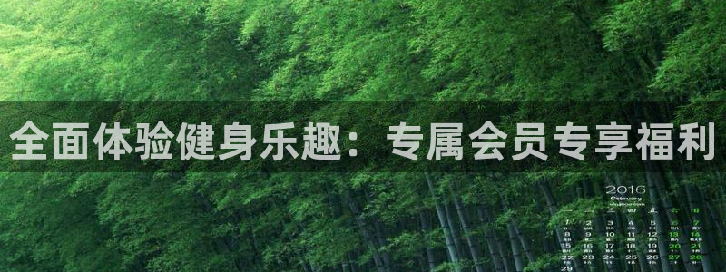 龙8国际官方网手机版下载安装