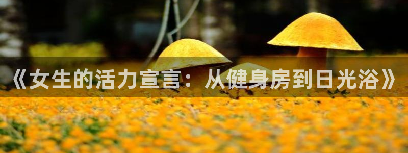 国际龙8官网pt客户端