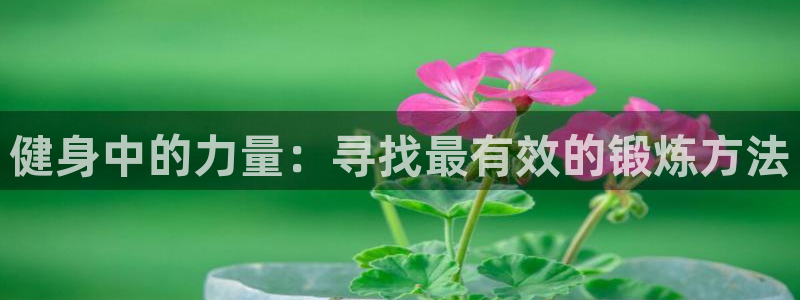 龙8国际的官方网站