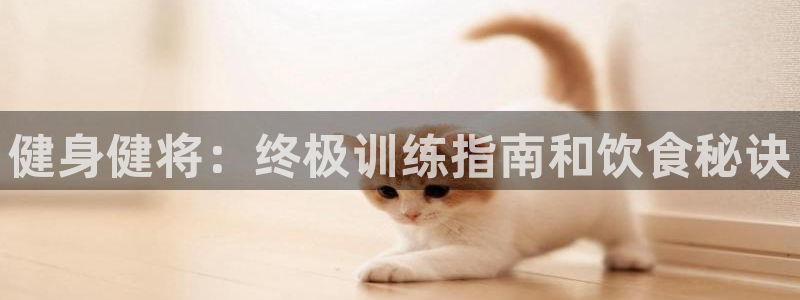 龙8国际网页版下载