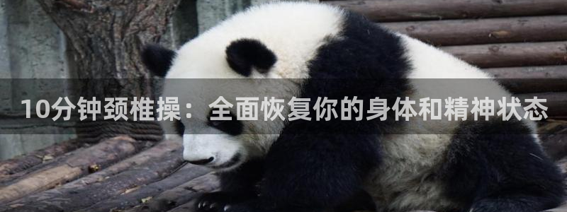 龙8国际官网官方版fxzls天地手游 -kc -安卓