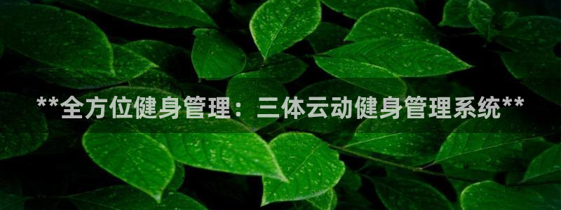 龙8老虎机网络游戏