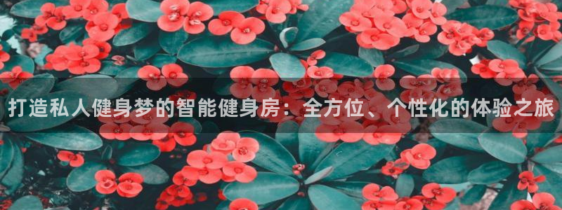 龙八国际官方网