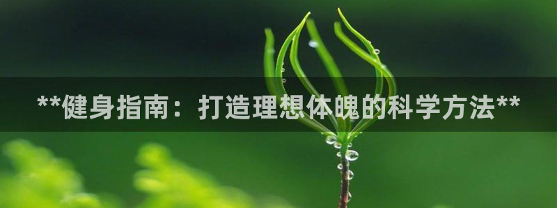 龙8全新客户端安卓版