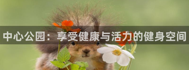 龙8老虎机手机版